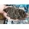 Прикормка Черный пеллет (рыба) Haldorado Карп Мастер 1 кг