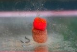 Плавающий силиконовый Пеллет в дипе - Кальмар Осьминог  9х12мм  8шт