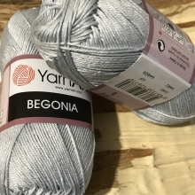 Begonia-54462