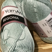 Begonia-4939