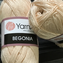 Begonia-5303