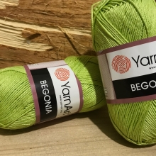 Begonia-5352