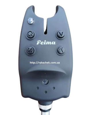 Стритизатор брюнетканы трафиктенді