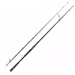 Спиннинг Daiwa Prorex AGS Spin Lazy Pike 8` 2.44m 40-120g
