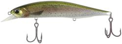 Воблер DUO Realis Jerkbait 120SP Pike col.CCC3836 Rainbow Trout ND